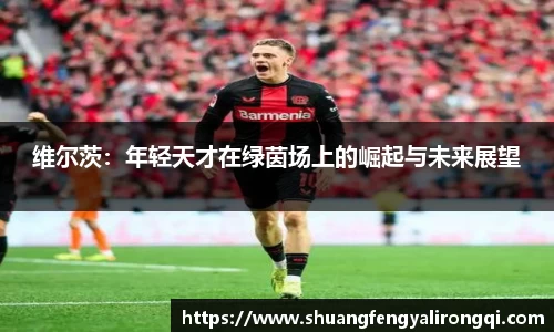 德赢vwin体育官网